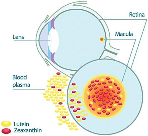 EyePromise Restore Eye Health Supplement - 60 Softgels, 30-Day Supply - Omega 3 Supplement with Zeaxanthin, Lutein, Fish Oil, EPA, DHA & Vitamins for Eye Health - Image 5