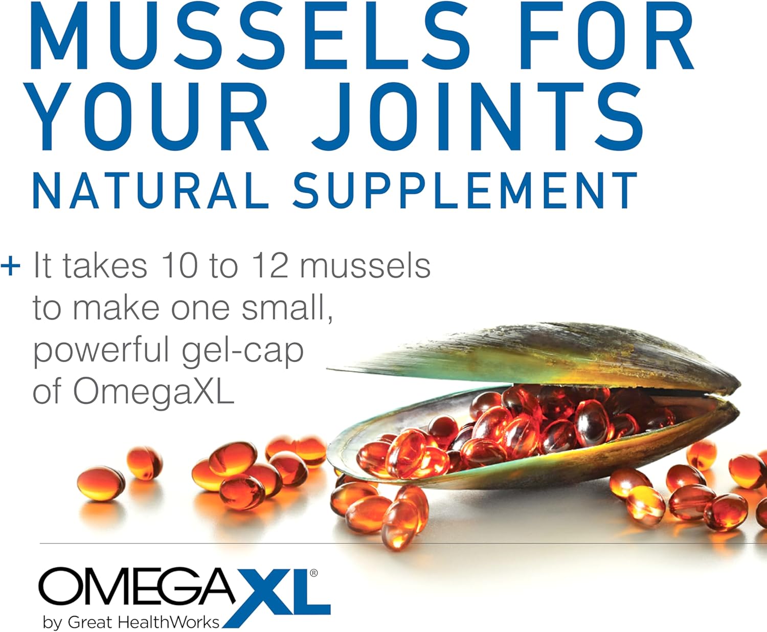 OmegaXL Joint Support Supplement, for Relief - Natural Muscle Support, Green Lipped Mussel Oil, Soft Gel Pills, Drug-Free, 60 Count - Image 8